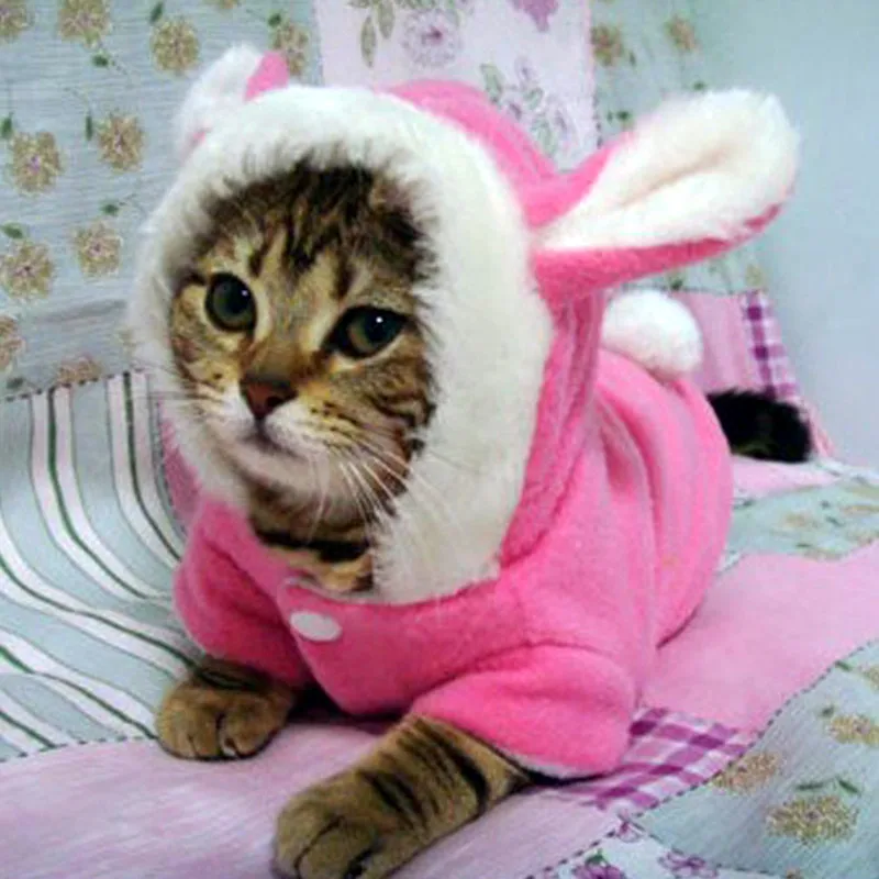 애완 동물 고양이 옷 Mascotas 의상 애완 동물 후드 귀여운 토끼 고양이 의..