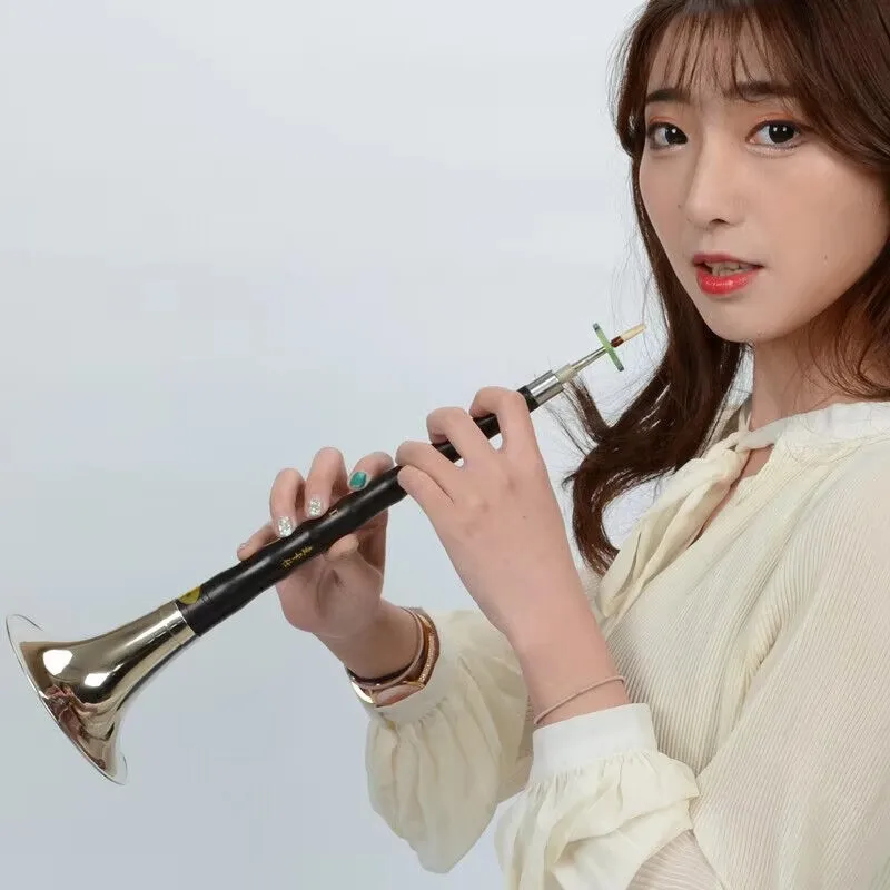 Gold Plated Suona in D Key, Professional Concert Master, Chinese Oboe Zurna, New