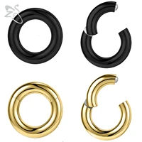 ZS 1PC G23 Titanium Hoop Earring for Women Gold Plated Circle Earring Large Gauge Nose Ring 2G/4G/6G/8G/10G/12G Punk Earrings 1