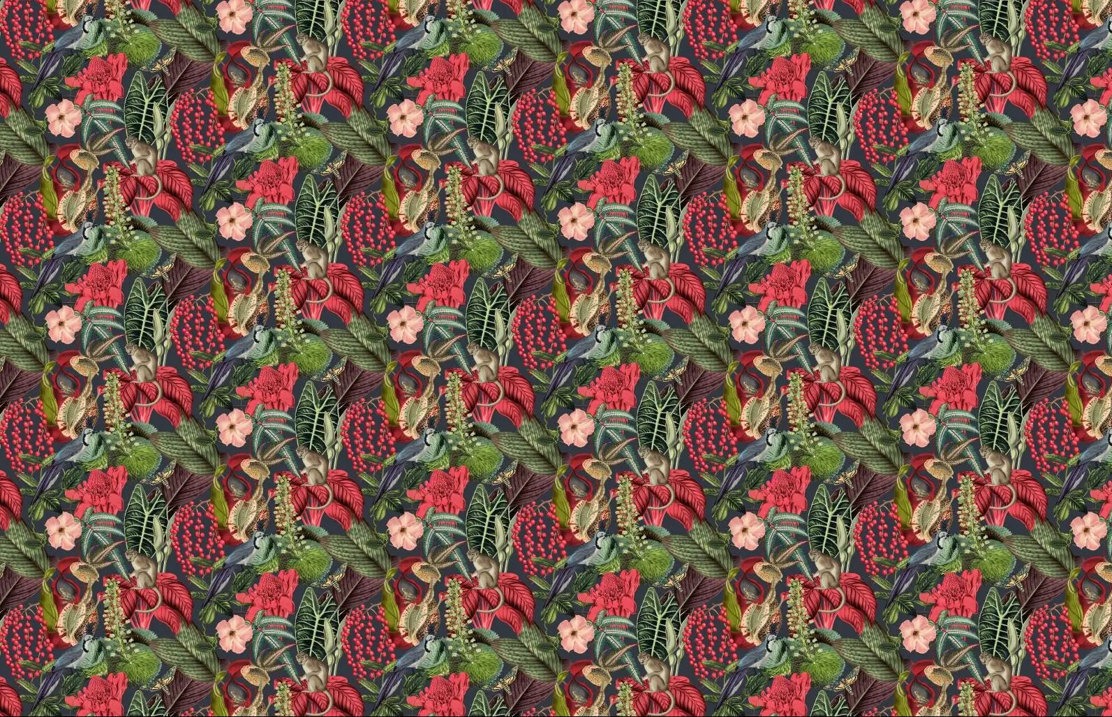 quarto, pintura de parede, americano, tropical, selva,