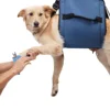 4359-606922.jpg Pet Rehabilitation Chest Strap Adjustable Traction Rope New Dog Outdoor Travel Auxiliary Chest Strap
