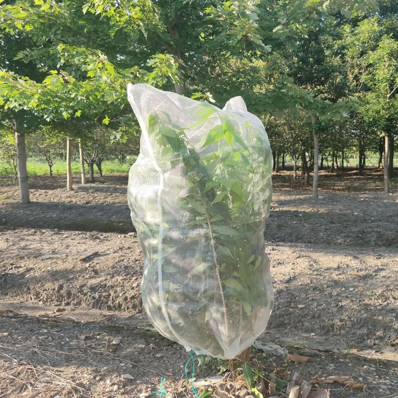 2개 과일나무 보호망 식물 보호 커버 과일나무 새 및 곤충 보호망 끈과 지퍼 포..