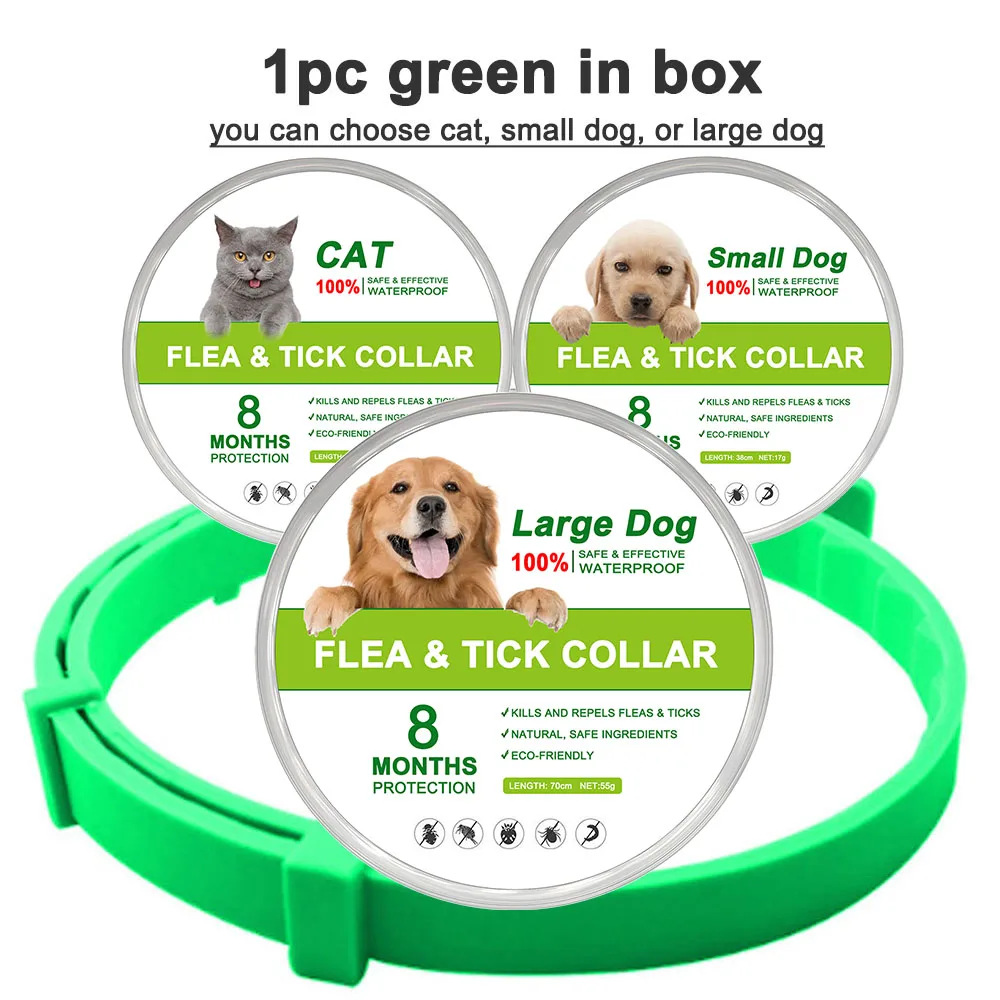 green (in box)