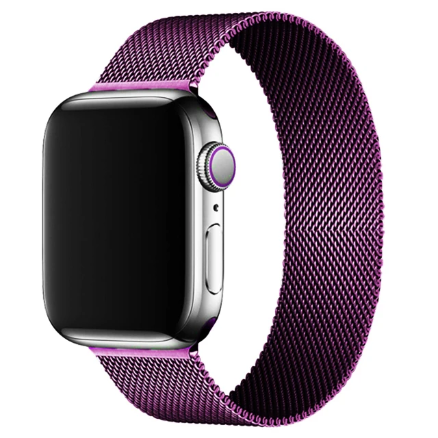 Magnetic Loop Strap For Apple watch Band 45mm 41mm 44mm 40mm 42mm 38mm Stainless steel correa bracelet iWatch serie 3 7 5 6 se 3 Purple 22