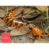 Rechargeable Simulation RC Centipede Toy Realistic Wireless RC Centipede Prank Toys Remote Control Scolopendra Prank Toy For 3