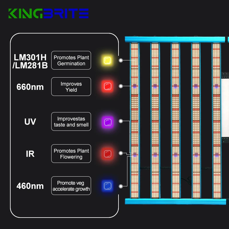 Kingbright Led Grow Light Diodes Growing Lamps 3800pcs 2023