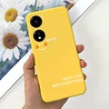 Case-c43