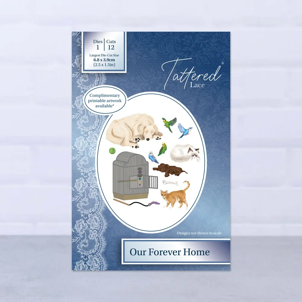 

Набор для домашнего высечки Our Forever, Цветовая отделка, шаблон для тиснения, поздравительная открытка ручной работы 2024