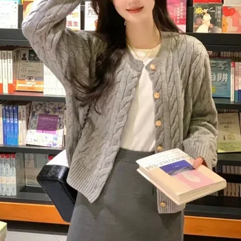 AOSSVIAO 2025 سترة نسائية عتيقة بأكمام طويلة ورقبة دائرية أنيقة محبوكة قمة الموضة للخريف رمادي تريكو 2