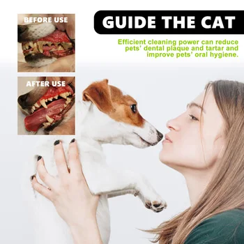 Cat and Dog Pet Mint Fresh Breath Spray Cat and Dog Oral Cleansing Deodorant Removal Odor Care Spray Pet Supplies 6