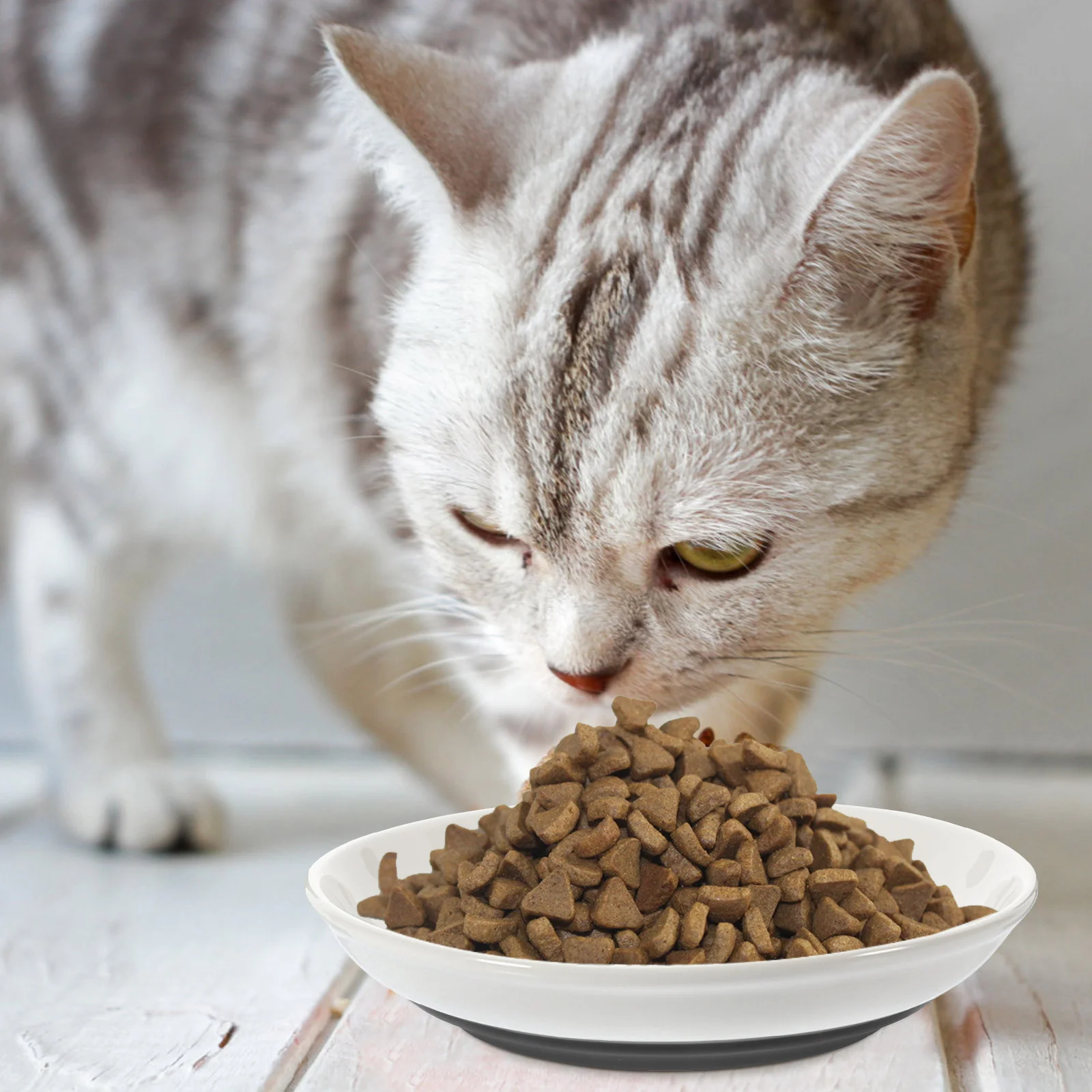 

3pcs Convenient Cat Feeder Cage Dog Feeder Plate Household Dog Water Feeder Bowl Ceramic Bowl