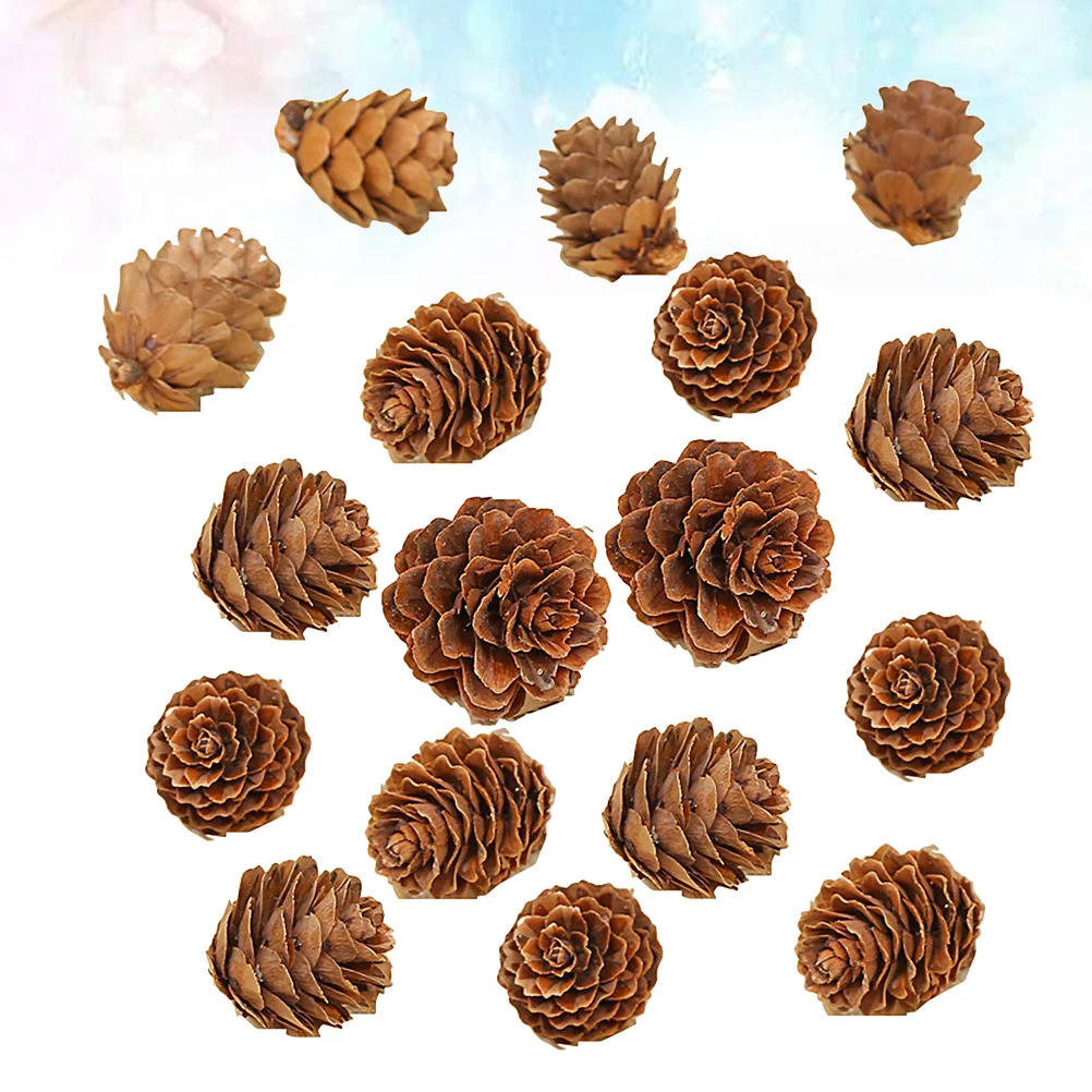 

210 Pcs Christmas Decorations Pine Cones Ornament Photography Decorate Dried Plant