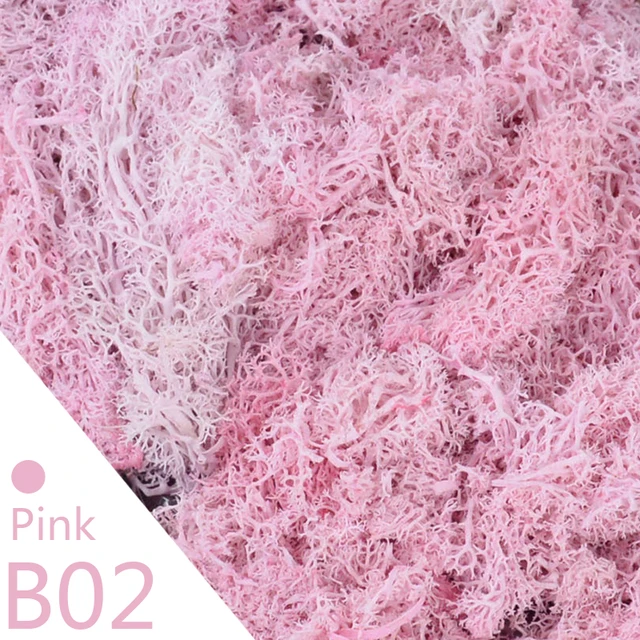 B02