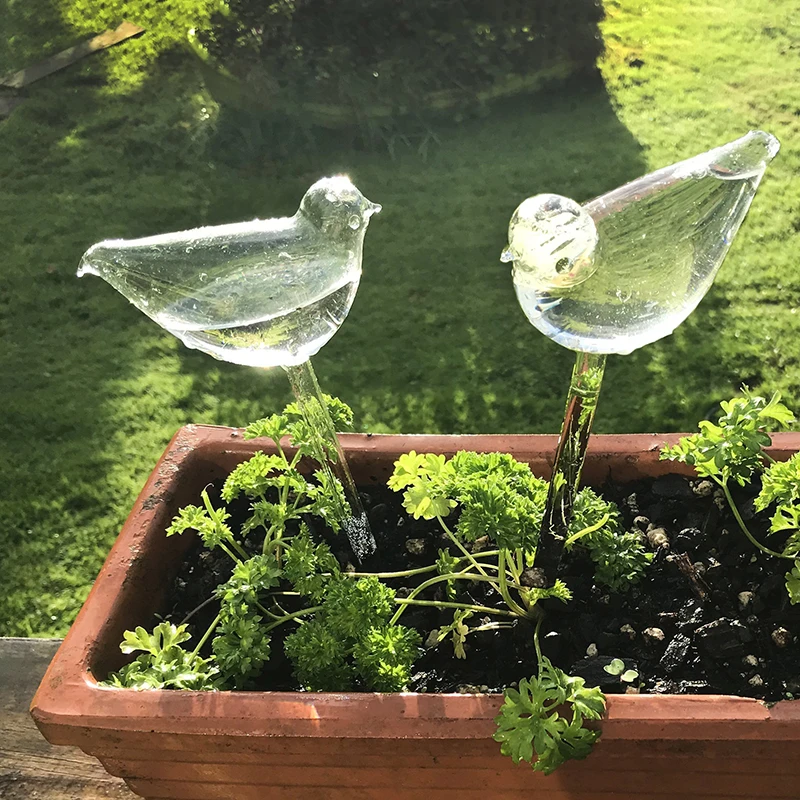 Outil d'arrosage automatique pour plantes en verre, dispositif de  goutte-à-goutte d'eau automatique, système d'irrigation goutte à goutte,  pic d'arrosage automatique pour jardin de fleurs - AliExpress