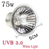 220V 25/50/75W UVA+UVB Reptile Lamp Bulb Turtle Basking UV Light Bulbs Heating Lamp Amphibians Lizards Temperature Controller 6