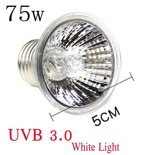 220V 25/50/75W UVA+UVB Reptile Lamp Bulb Turtle Basking UV Light Bulbs Heating Lamp Amphibians Lizards Temperature Controller 6