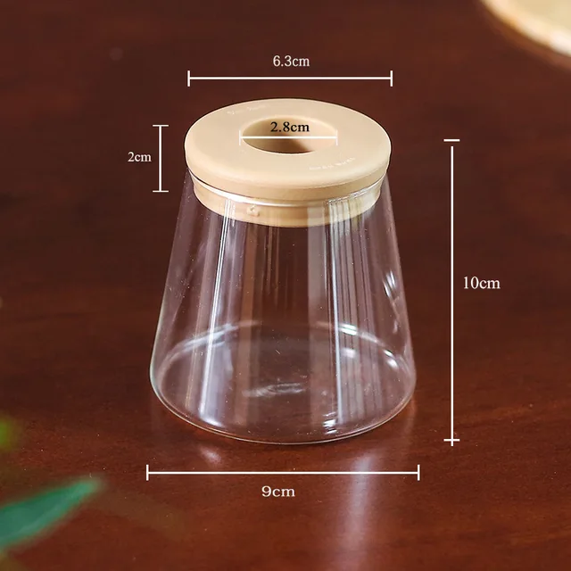 Transparent Hydroponic Flower Pot Imitation Glass Soilless Planting Potted Green Plant Resin Flower Pot Home Vase Decor 5
