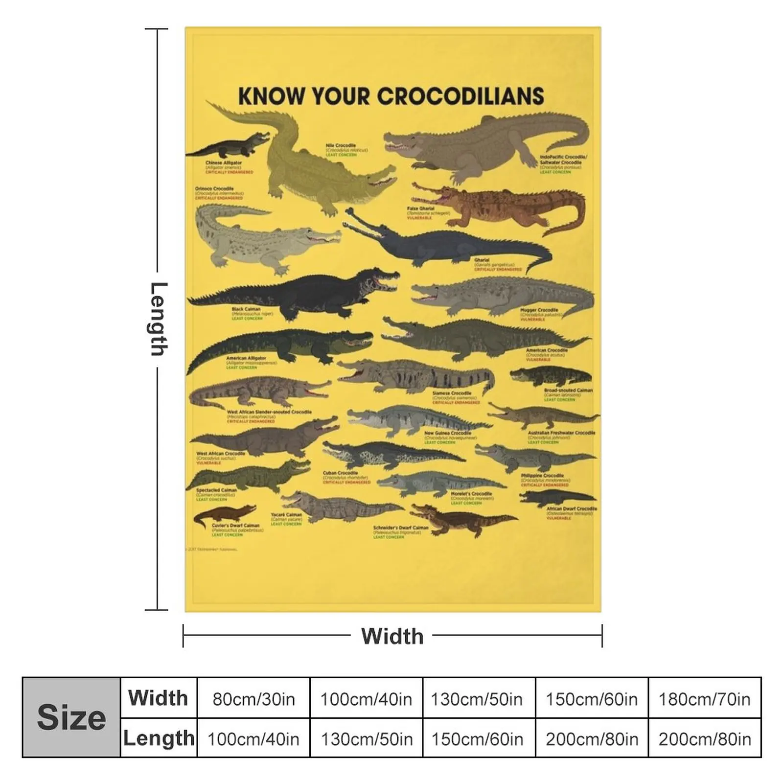 �Ǿ� ������ ���, ���� �̺�, ħ��� ���� �β��� ���