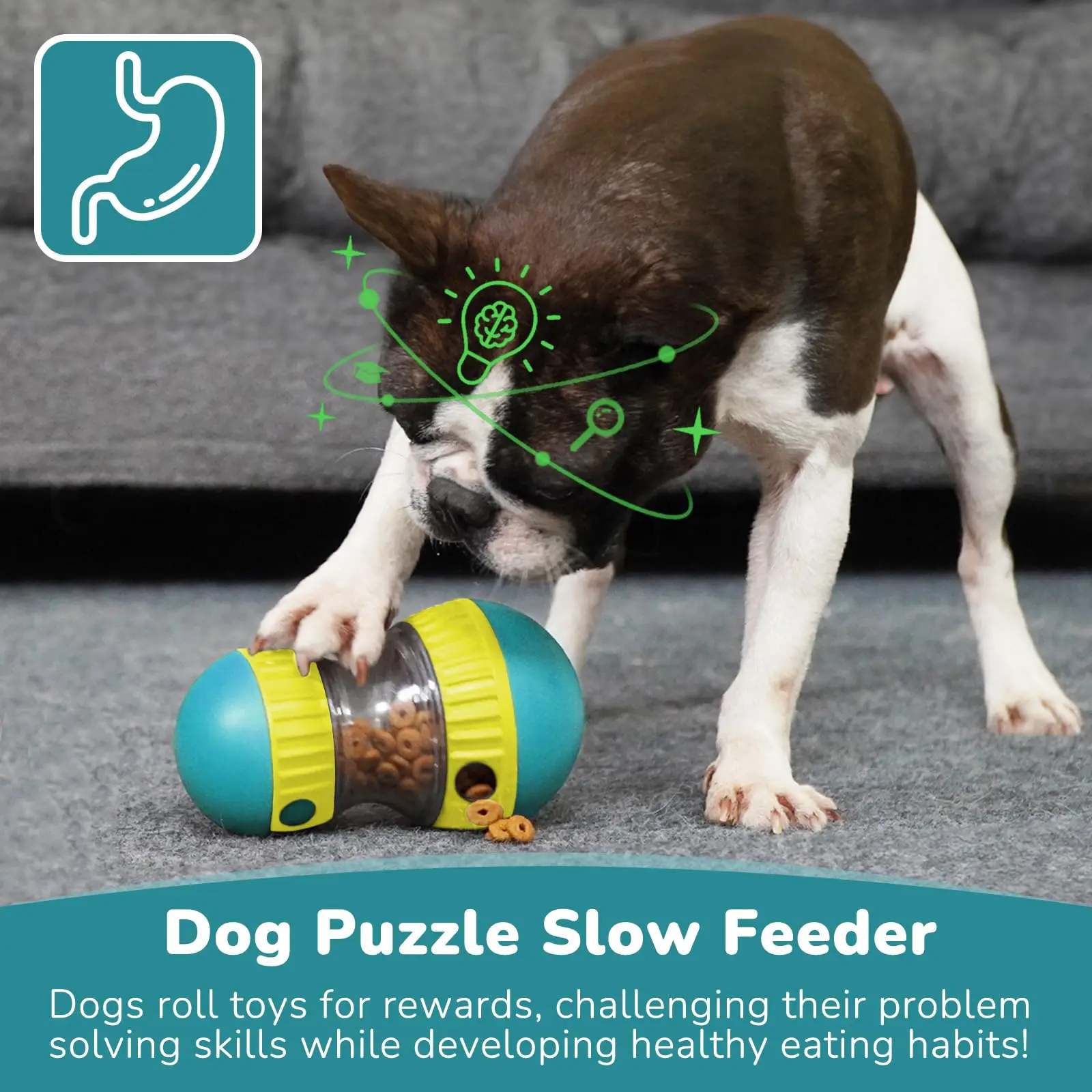 Interactive IQ-Boosting Slow Feeder Ball