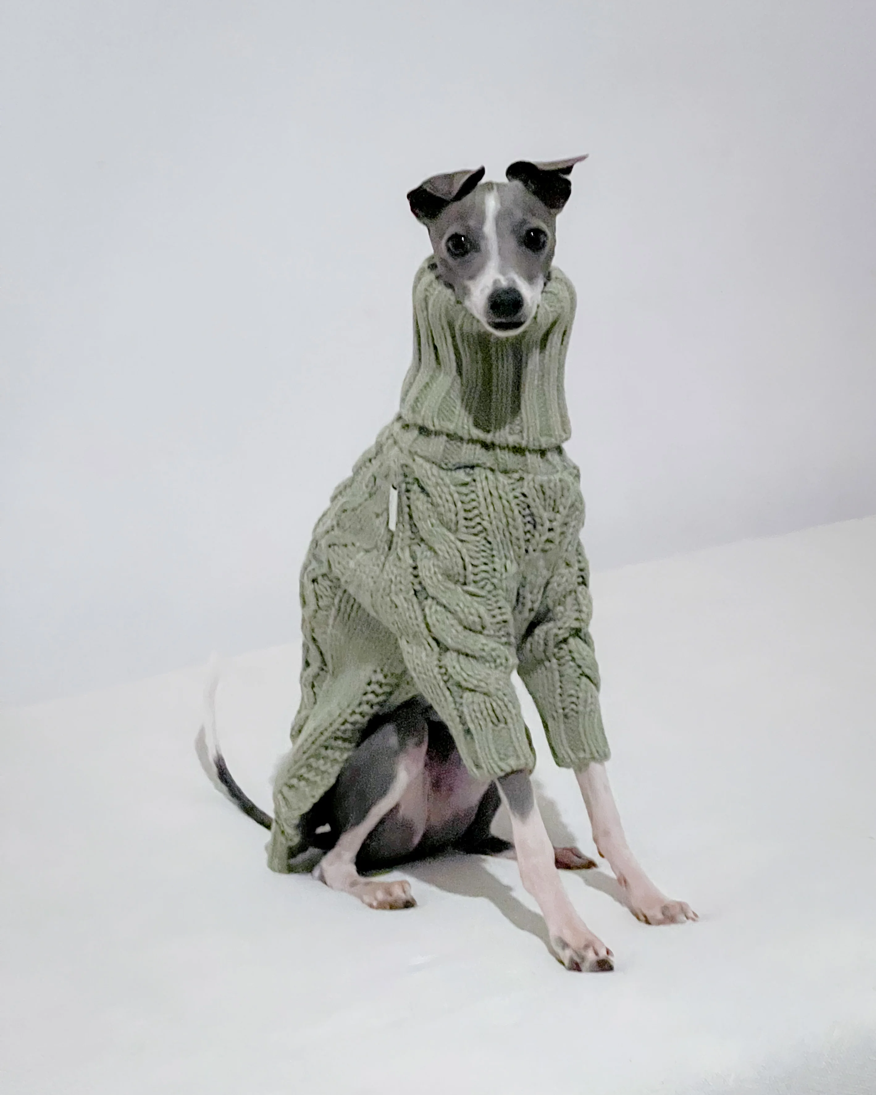 Knitted Whippet Dog Grey Whippet Jumper Knitting Pattern Whippet