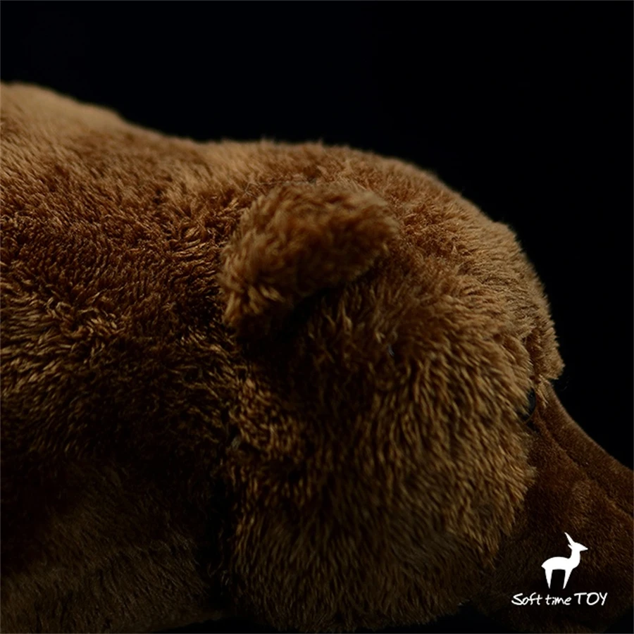 Brown Bear High Fidelity Anime Cute Plushie Grizzly Bear Plush Toys Lifelike Animals Simulation Stuffed Doll Kawai Toy Gifts Kid 6