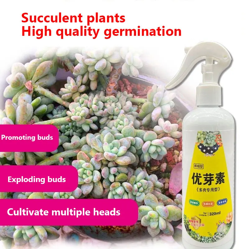 NEW Succulent Plant Eugenin Promotes Budding, Dwarf Fat, Prevents Leggy Organic Granules 320ml