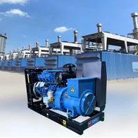 Groupe électrogène diesel ouvert Yuchai 50 kW haute efficacité personnalisé pour usage domestique et industriel (alimentation de secours) 3