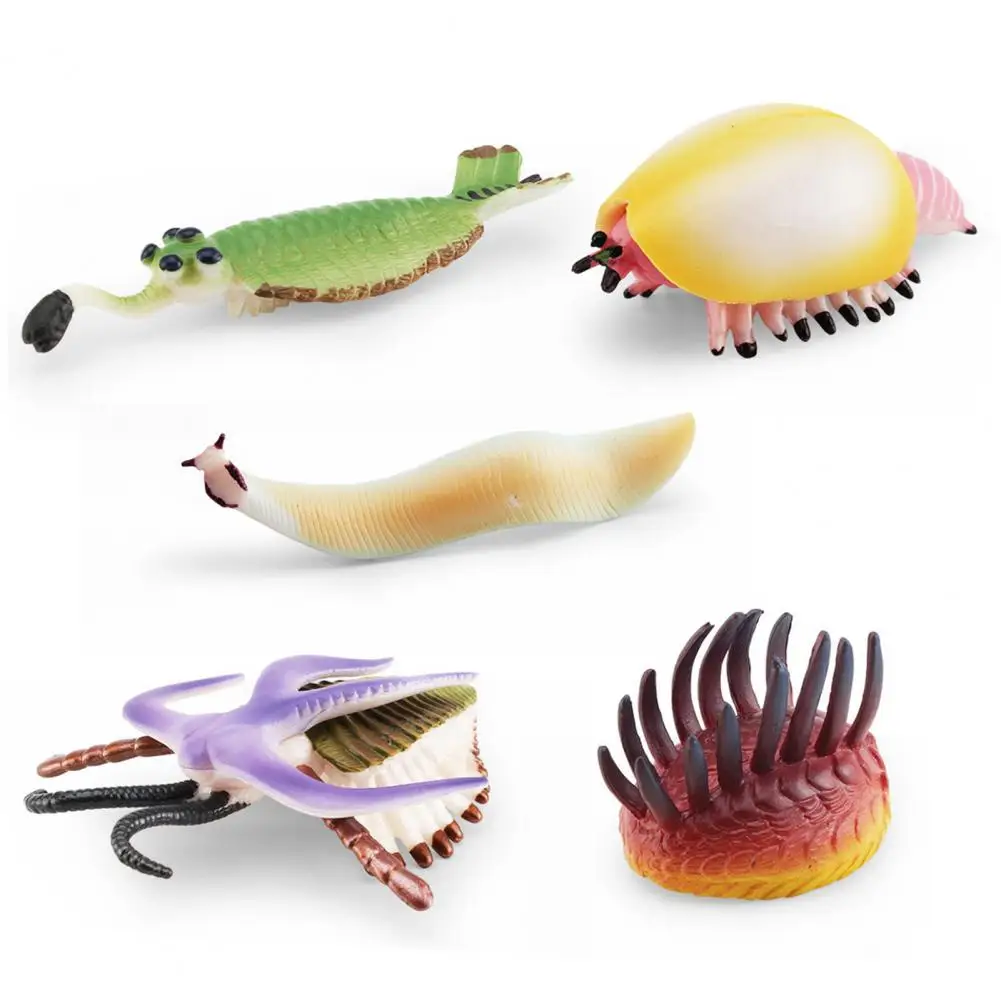 

Sea Animal Figurine Simulated Sea Life Statue Vivid Look Cambrian Ancient Marine Animals Model Decoration Decoration