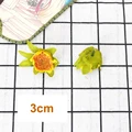Sunflower bud 1