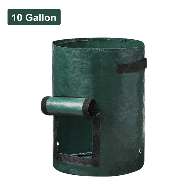 10 Gallon