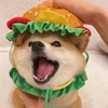 Cat Burger Headset Cute Pet Hat Dog Headwear Small Dog Taking Photos Dress Up Accessories 3