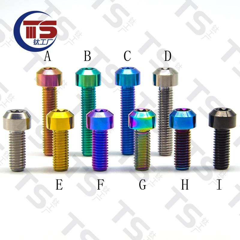 Titânio Liga Torx Cabeça Parafusos Parafuso Lote 10 Peças 110 mm ts m4 m5 m6 10 15 20 25 30 35 40 45 50 55 60 65 70 80 90 100