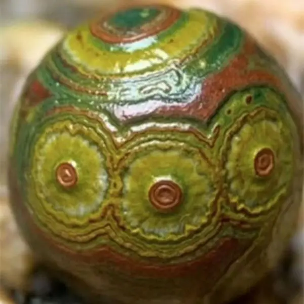 Strangely Beautiful Agate Eye Stones Store