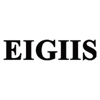 EIGIIS Watch Store