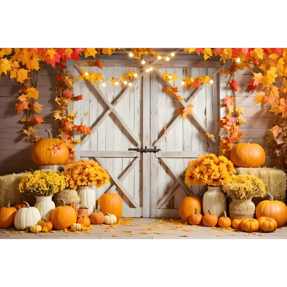     ʻȭ  , ߼ Ƽ 갣   ¦ ȣ ǳ   
