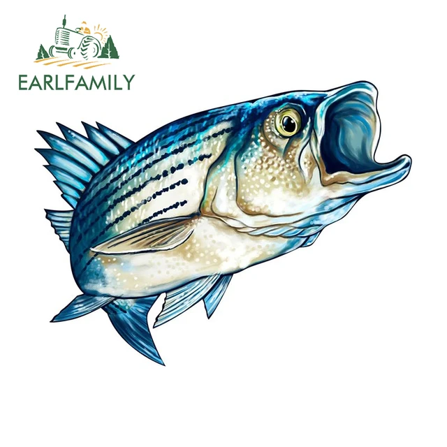 EARLFAMILY 13cm x 10cm Funny Striped Bass Car Sticker Outdoor Fishing Boat  Kayak Toolbox Vinyl Decal 3D Sea Animal Stickers - AliExpress