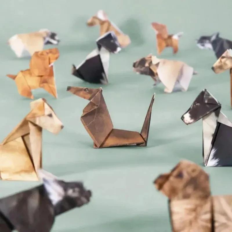 DIY Paper Cats 50 Sheets Origami Paper Handmade Cat Dog Dinosaur Fun Art Craft Folding Animal Folding Set