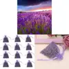 12 Pcs Dried Lavender Sachets Drawers Freshener for Drawers and Closets for Fresh Scents Closet Deodorizer Freshener Dur