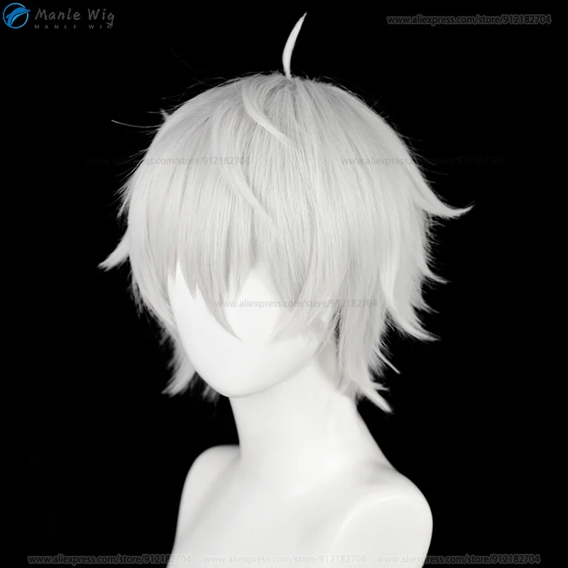 Seishiro Nagi ڽ , ִϸ̼ ڽ, ǹ ,  ,  , 30cm