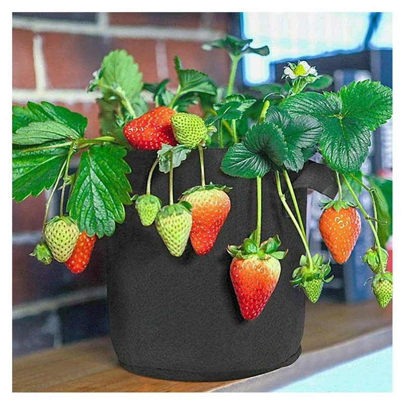 Fabric Plant Pots Grow Bags 25/30/35/40cm Gallon Gardening Vegetable Tomato  Strawberry Growing Planter Garden Planting Pots - AliExpress