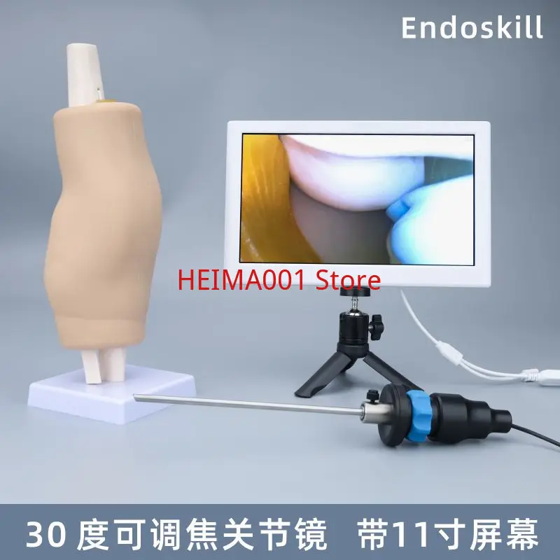 

Endoskill Knee Joint Simulation Training Exercise Model with 30 Degree Adjustable Focus Arthroscopy
