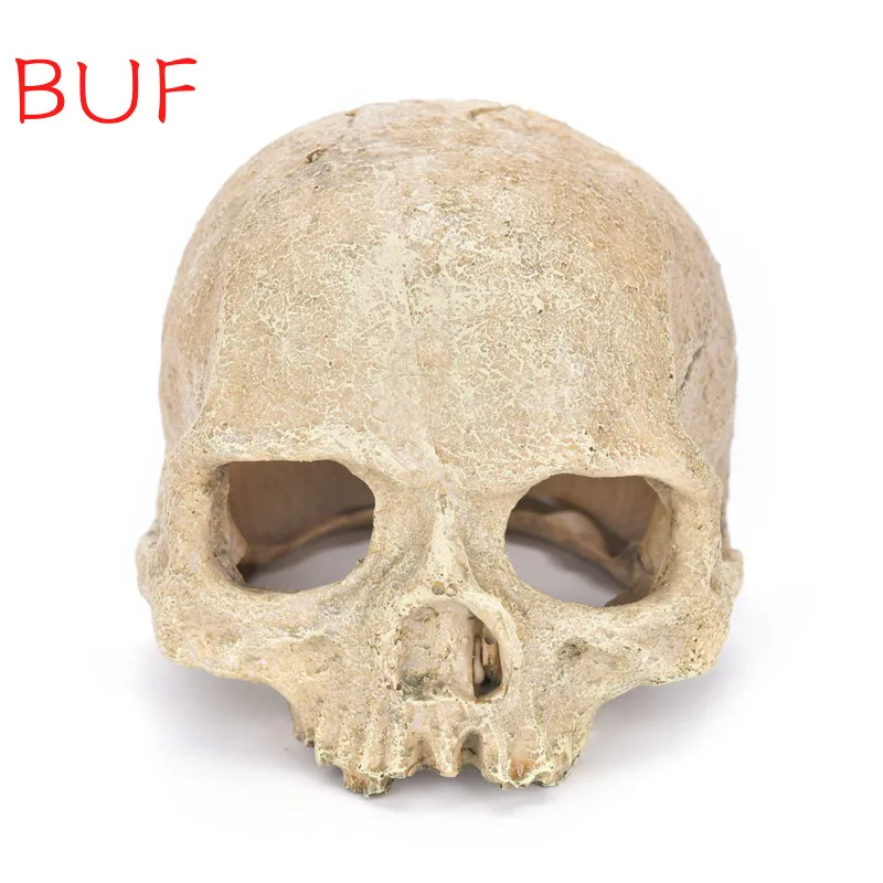 

Украшение для аквариума, с овечьими черепами