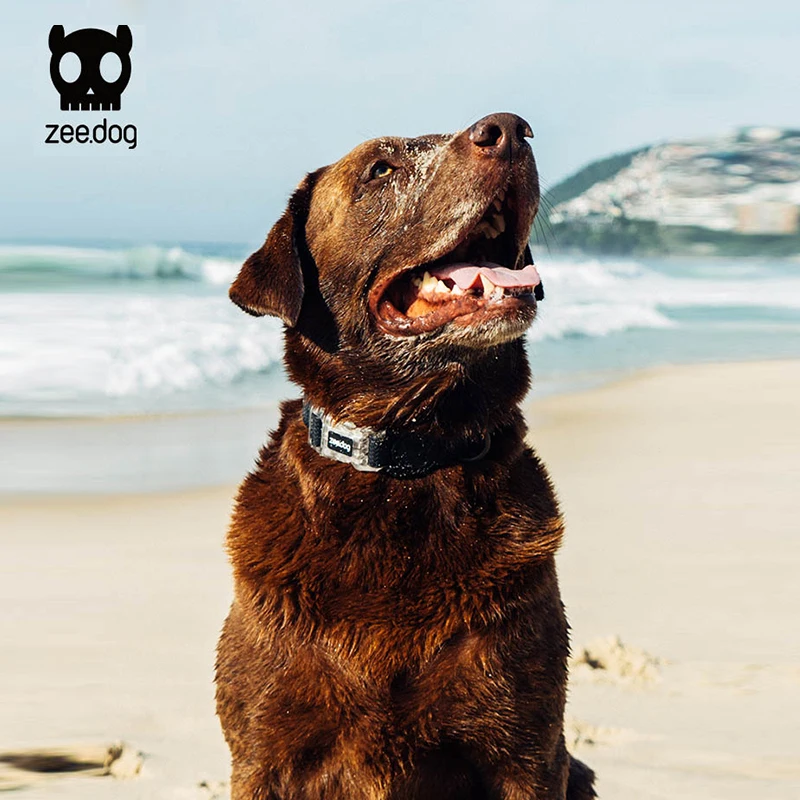 ZeeDog Waterproof Dog Collar Fluorescent Color Pet Ne Strap Anti-Bite Traction Rope Large Medium Small Dogs Brand New Arrival