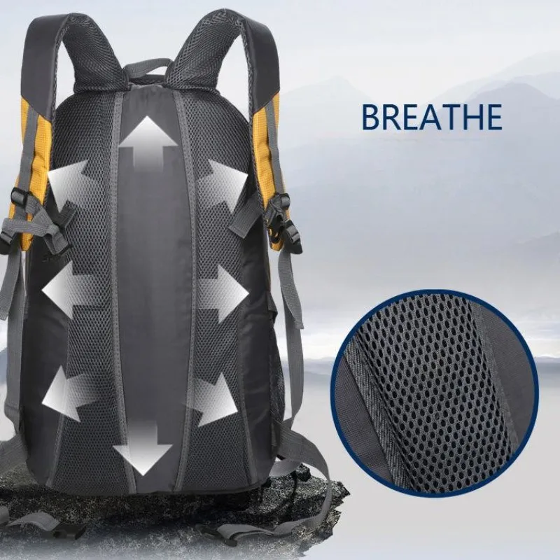 Slide image 1c04642235414b5d989b8383de89de90