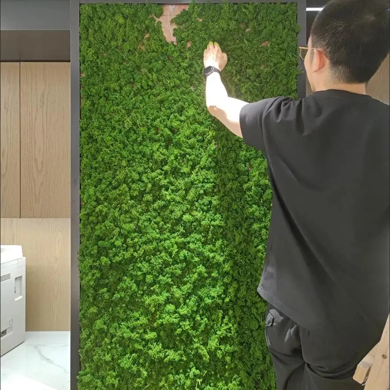 Musgo Artificial de 100g plantas de simulación de musgo inmortal, Micro  paisaje bonsái decoración de jardín interior musgo verde - AliExpress