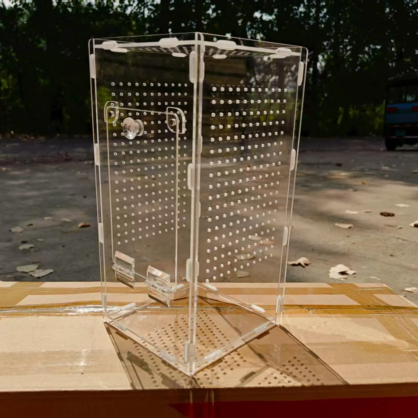 Acrylic Mantises Terrarium Clear Reptile Cage Vertical Habitat Container for Spiders and Pets