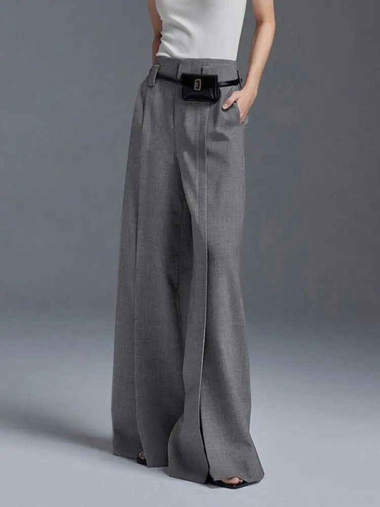 Lemongor Urban Office Lady Fashion Split-Front Pleated Wide Leg Suit Pants Spring Autumn High-Waisted Casual Trousers For Women