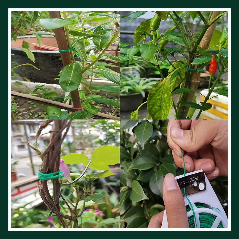 30/50m Garden Plant Fixed Rope Reusable Green Coate String With Cutter Sturdy Plant Twist Tie Gardening Vegetable Grafting Fixer