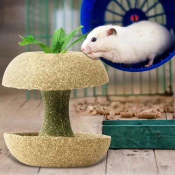 Guinea Pig Chew Toys 1