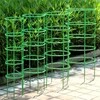 12 Set Plant Support Pile Half Round Climbing Vines Stake Bonsai Fixing Rod Garden Plant Stake Holder Flower Ring Support Rack 4